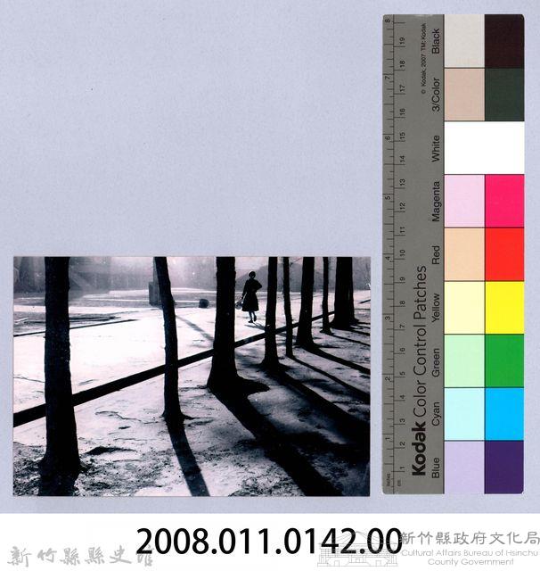 鄧雨賢相關照片133：樹旁行走的女子藏品圖，第2張