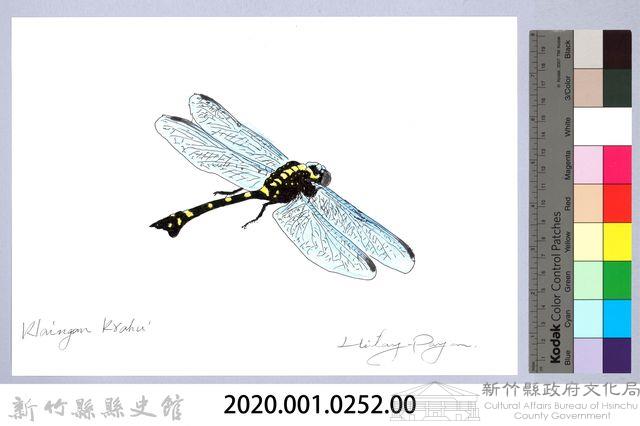 泰雅文物畫冊3-6海南春蜓藏品圖，第2張