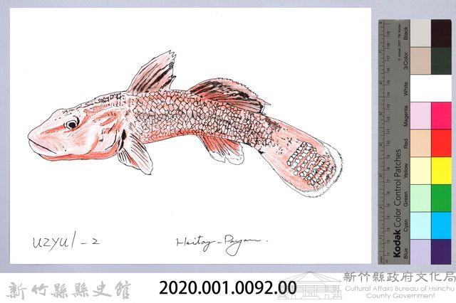 泰雅文物畫冊1-94短吻紅斑吻鰕虎藏品圖，第2張