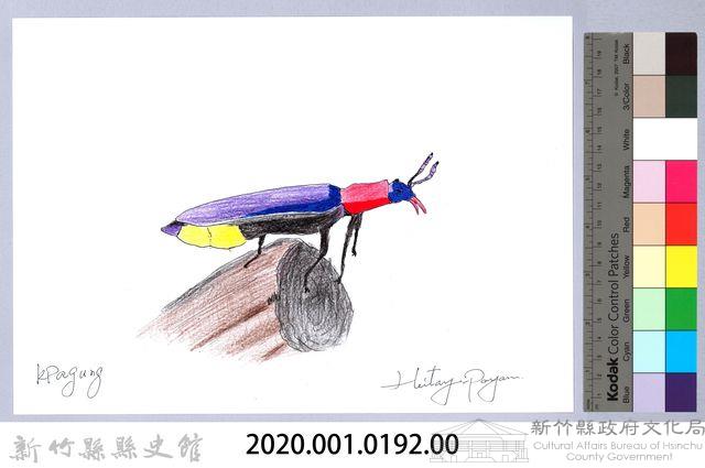 泰雅文物畫冊2-4紫翅麗菊虎藏品圖，第2張