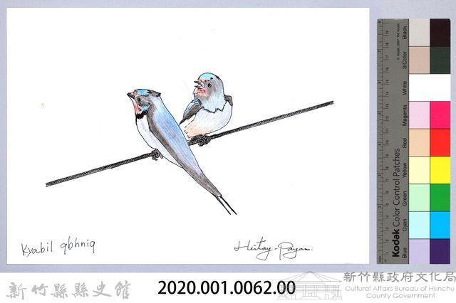 泰雅文物畫冊1-64赤腰燕藏品圖，第2張