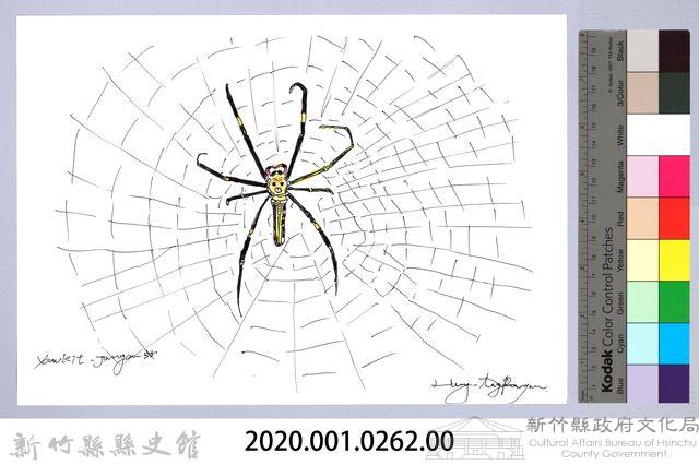 泰雅文物畫冊3-17人面蜘蛛藏品圖，第2張