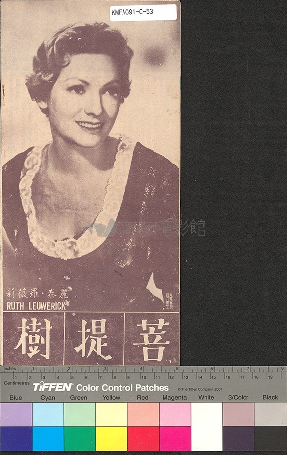 大圖瀏覽