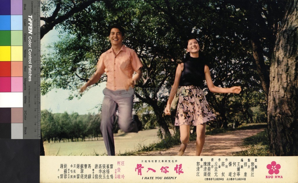 大圖瀏覽
