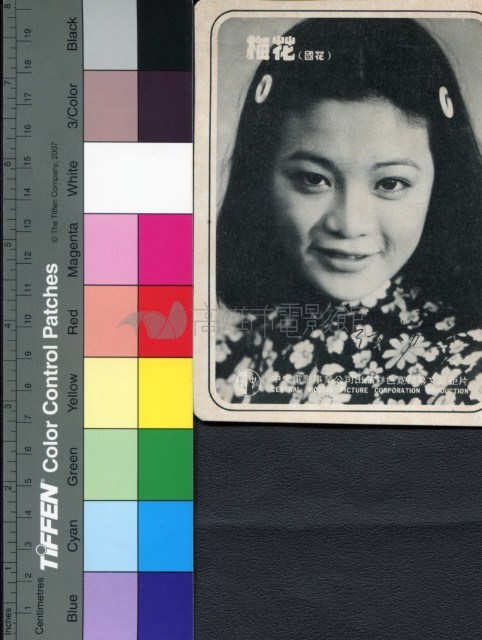 梅花--張艾嘉藏品圖，第1張