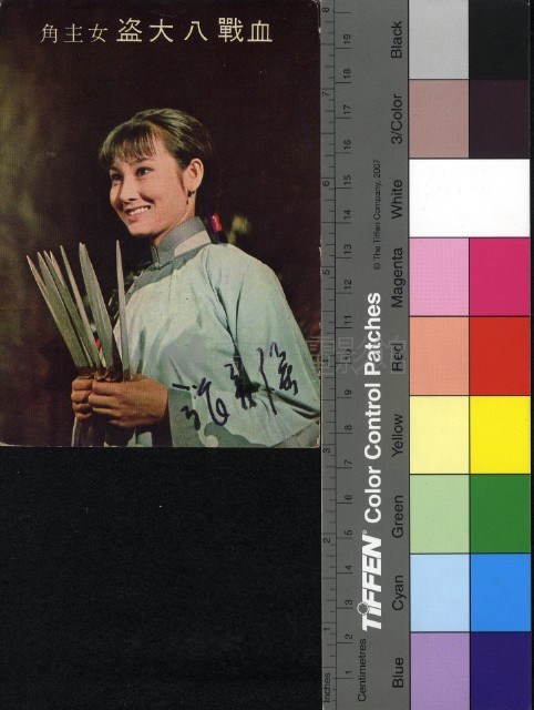 血戰八大盜--張美瑤藏品圖，第1張