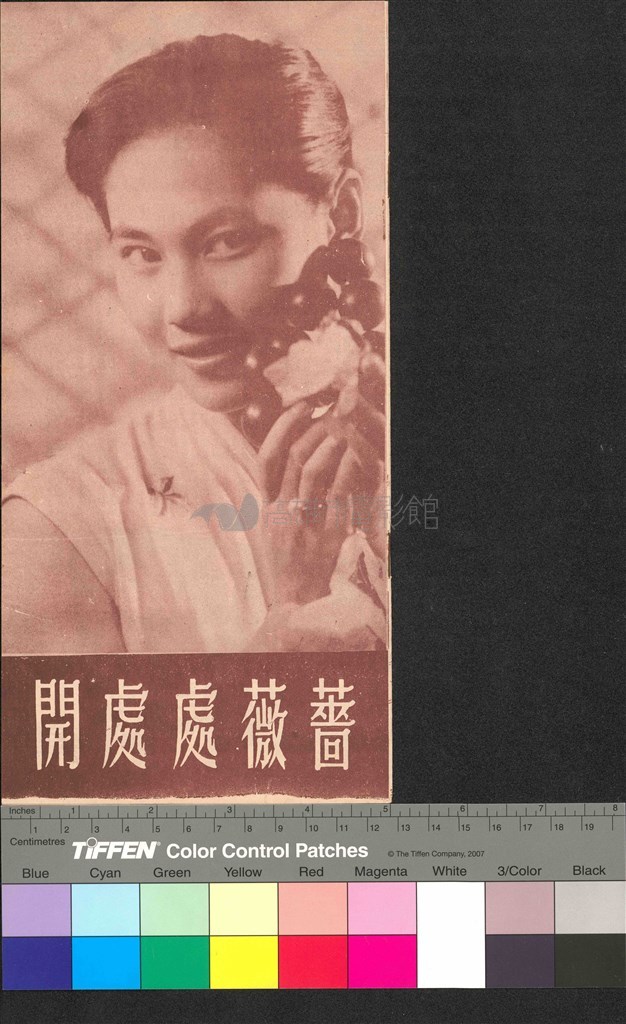 大圖瀏覽