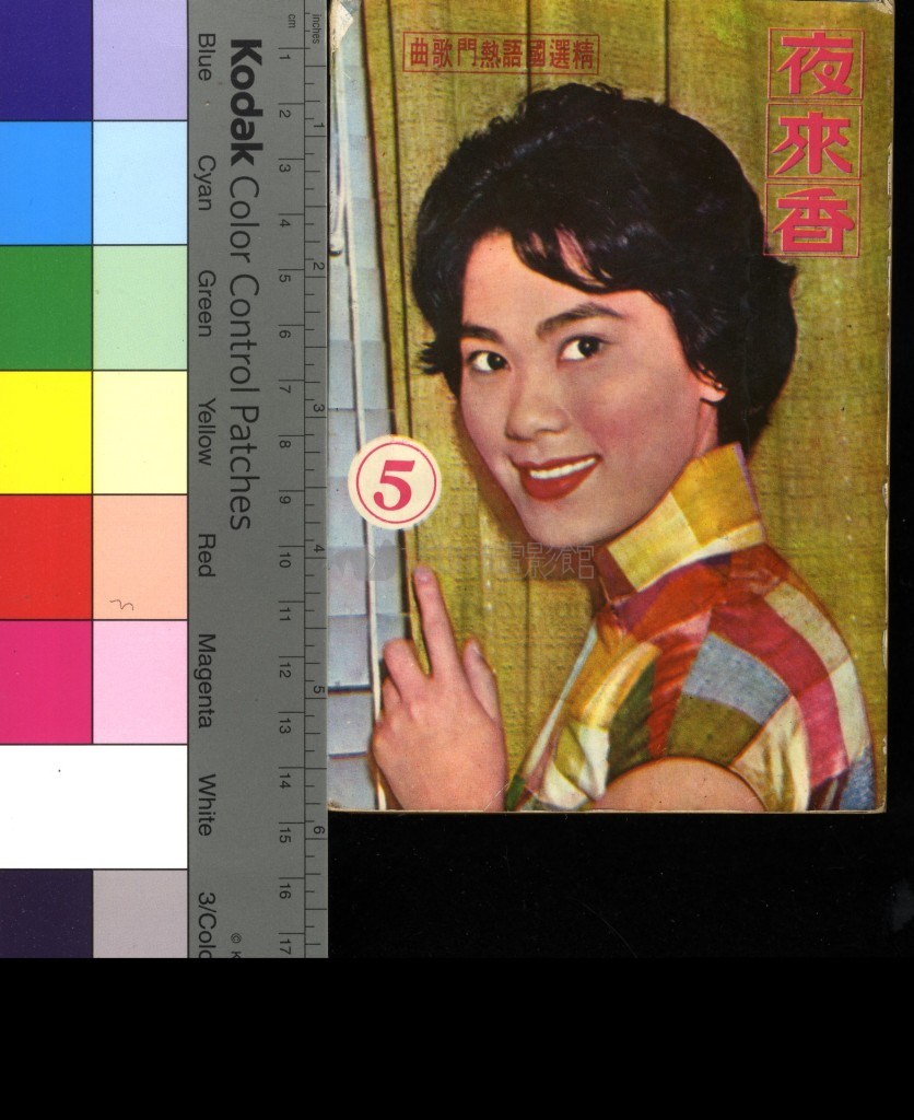 大圖瀏覽