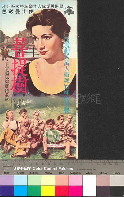 菩提樹藏品圖，第1張