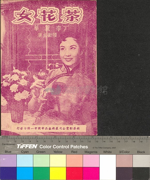 大圖瀏覽
