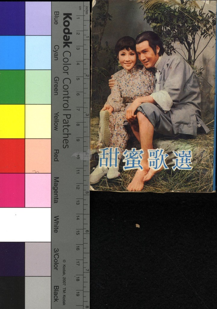 大圖瀏覽