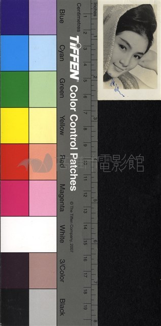 鄭佩佩藏品圖，第1張