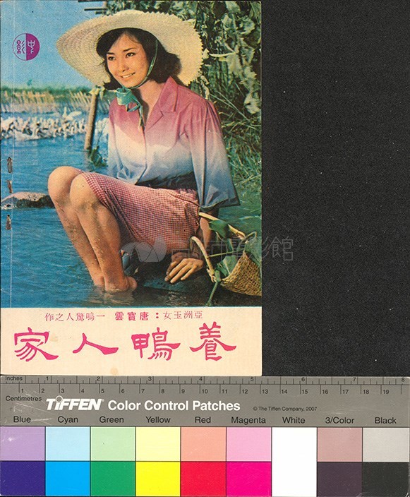 大圖瀏覽