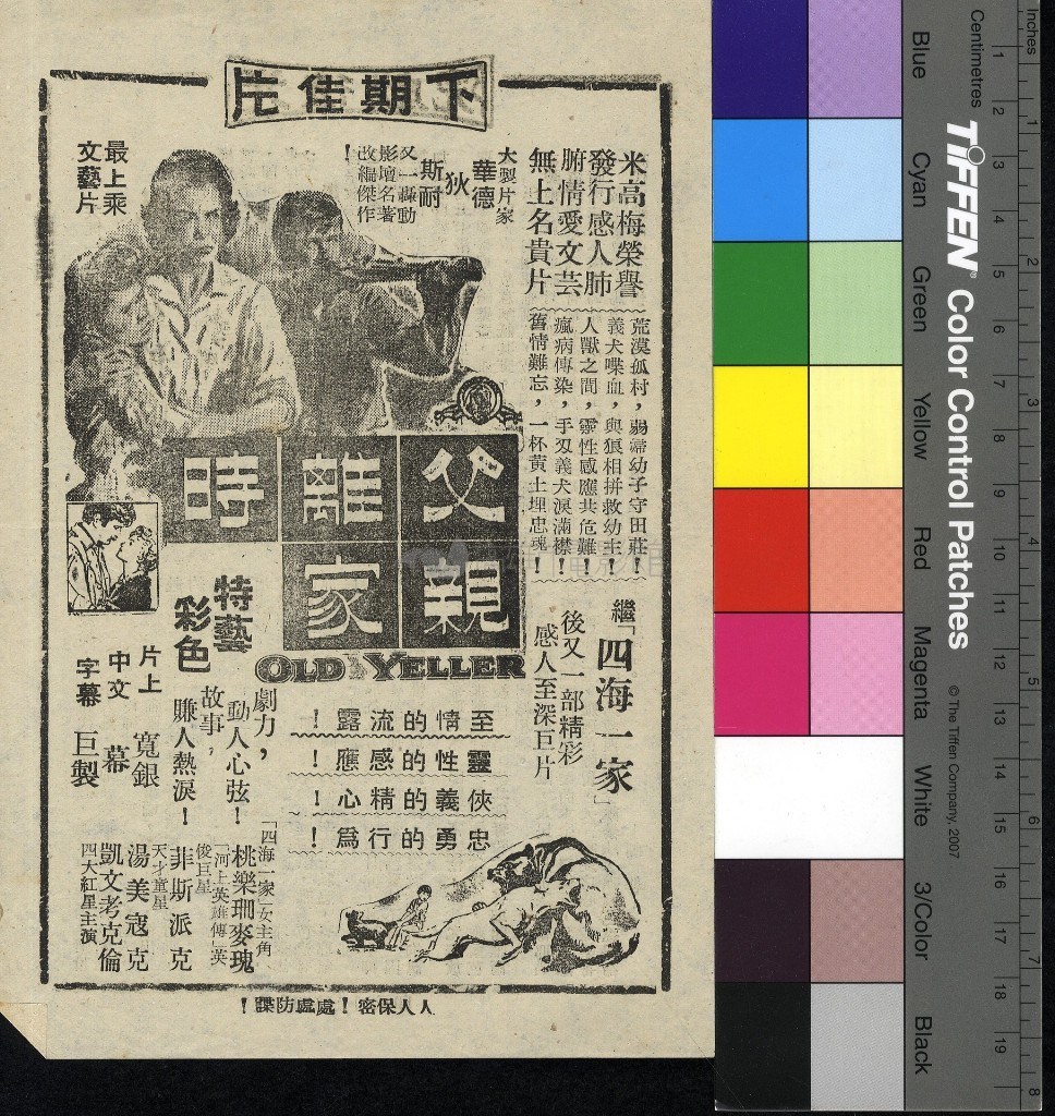 大圖瀏覽