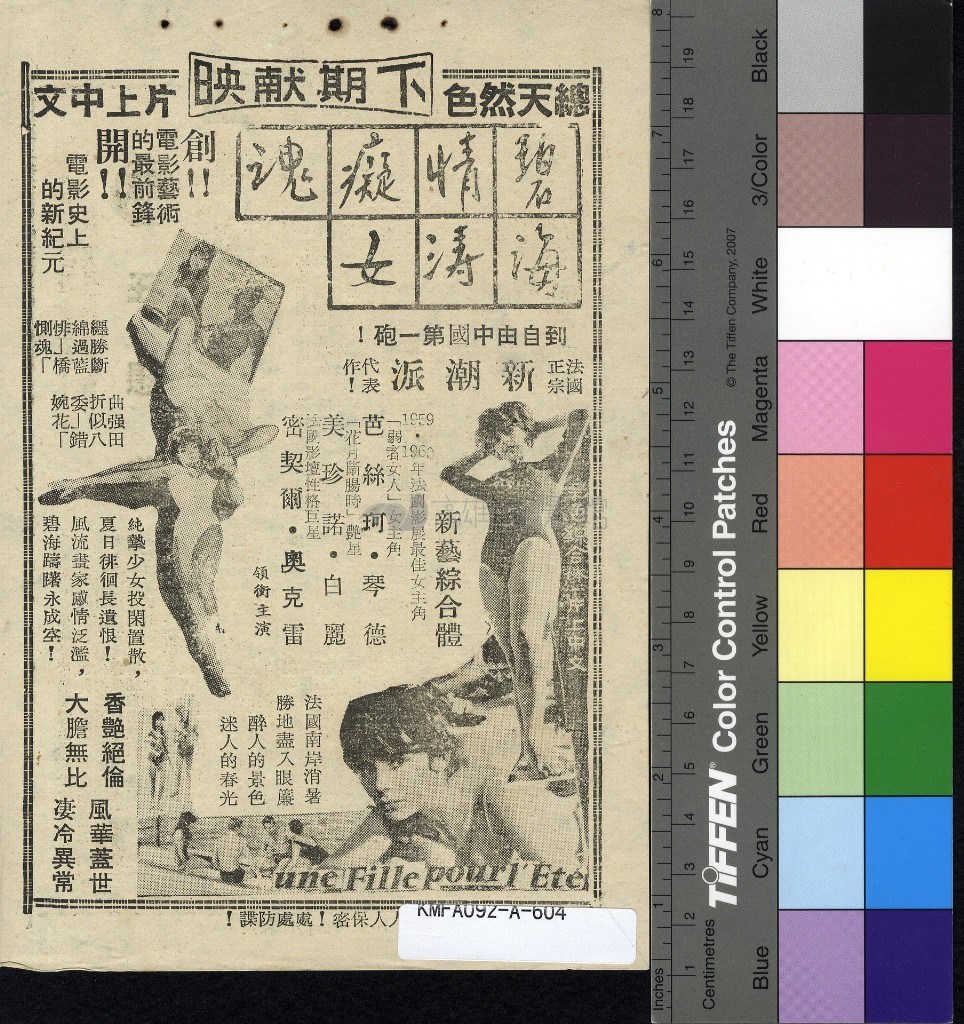 大圖瀏覽