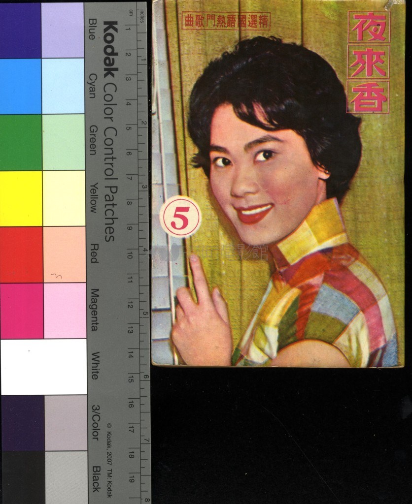 大圖瀏覽
