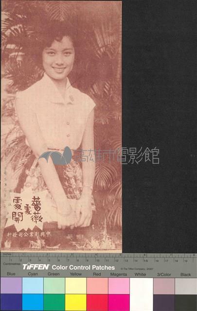 薔薇處處開藏品圖，第2張