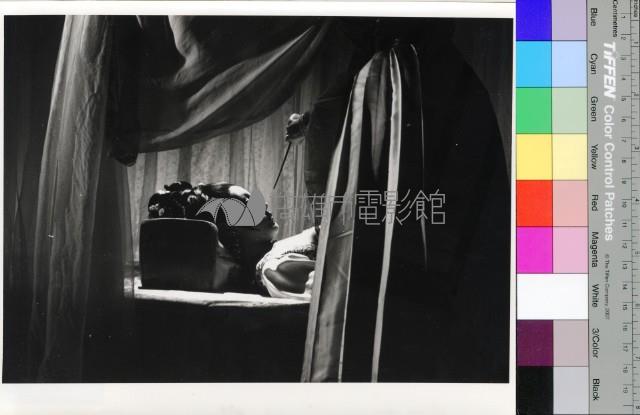 愛奴(黑白)藏品圖，第1張