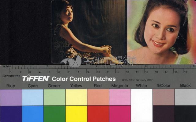 湯蘭花藏品圖，第1張