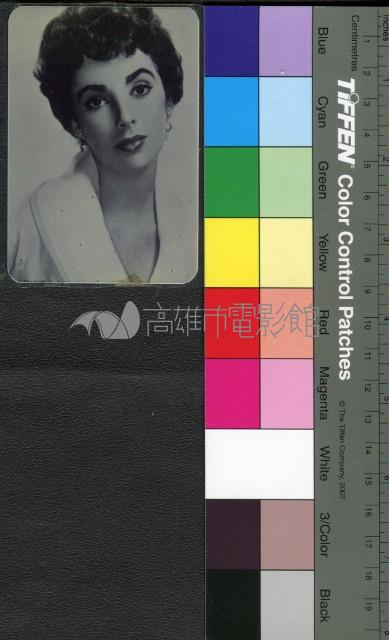 伊麗莎白泰勒藏品圖，第1張