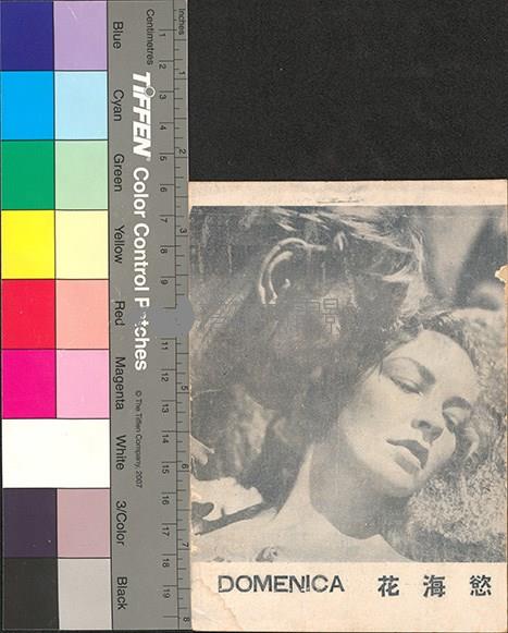 慾海花藏品圖，第1張