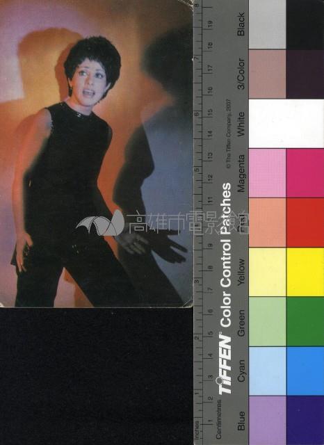 Гюли Чохели藏品圖，第1張