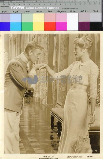 天鵝公主(The Swan)藏品圖，第1張