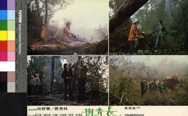 長青樹(彩色)藏品圖，第1張