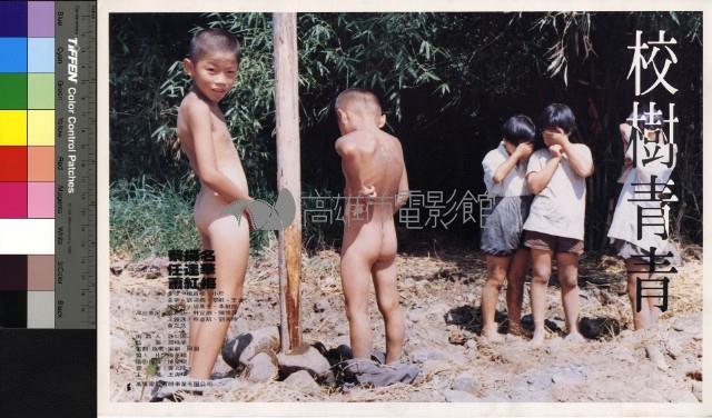 校樹青青藏品圖，第1張