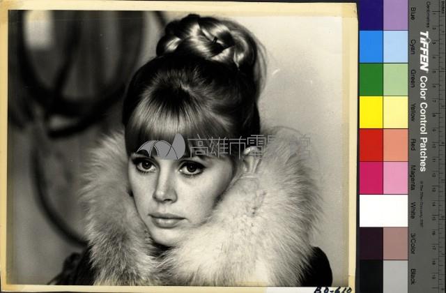 The Bobo藏品圖，第1張