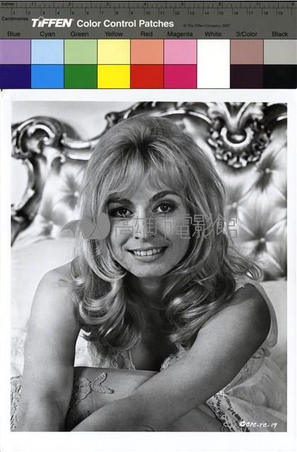 30 Is A Dangerous Age, Cynthia藏品圖，第1張