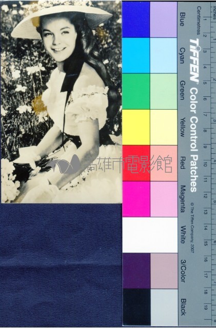羅美雪妮黛藏品圖，第1張