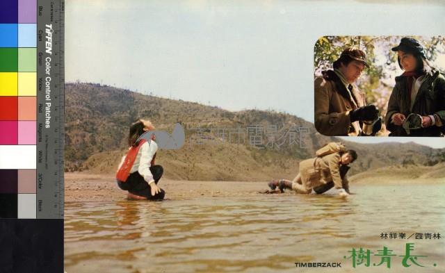 長青樹(彩色)藏品圖，第1張