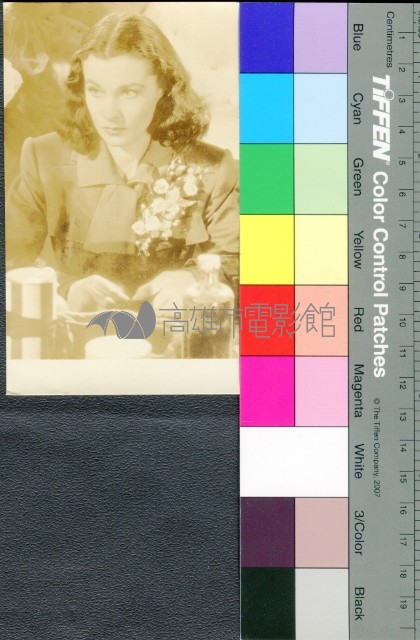 費雯麗藏品圖，第1張
