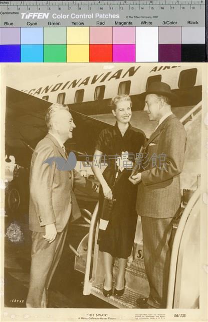 天鵝公主(The Swan)藏品圖，第1張