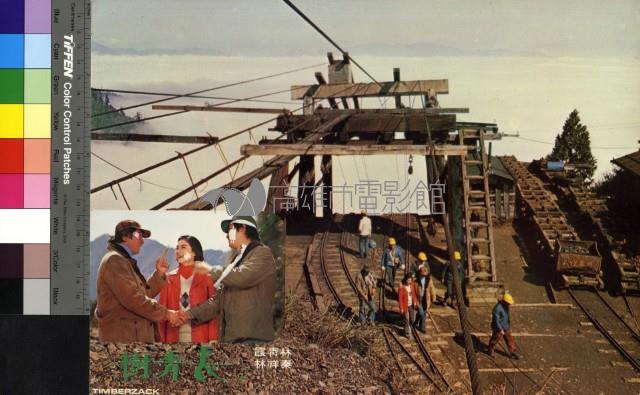 長青樹(彩色)藏品圖，第1張