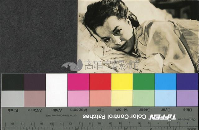 羅美雪妮黛藏品圖，第1張