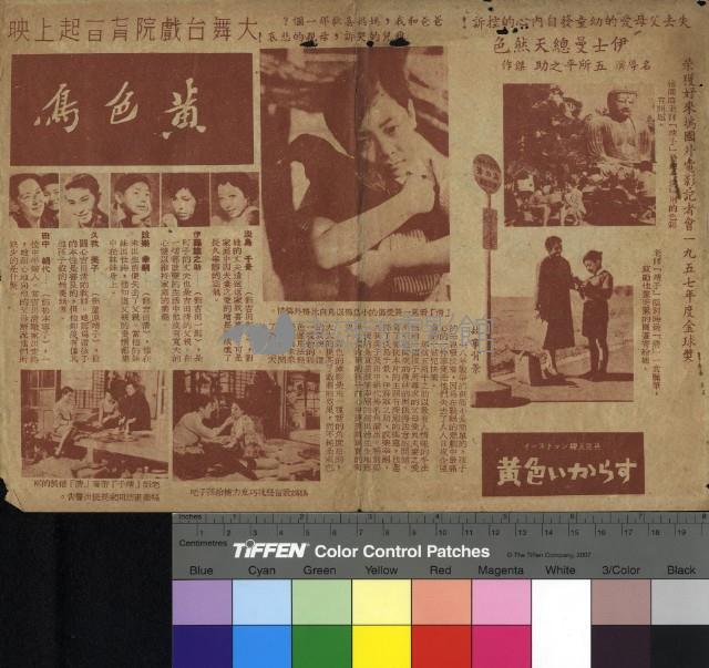 黃色鳥藏品圖，第1張