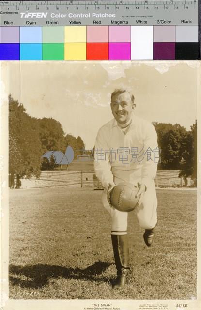 天鵝公主(The Swan)藏品圖，第1張