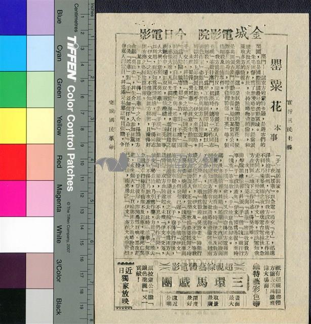 罌粟花藏品圖，第1張