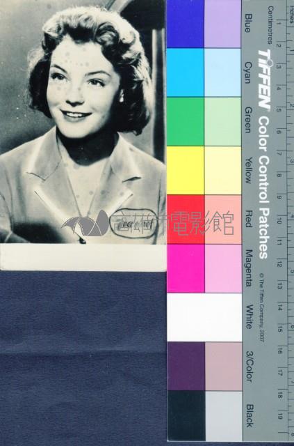 羅美雪妮黛藏品圖，第1張