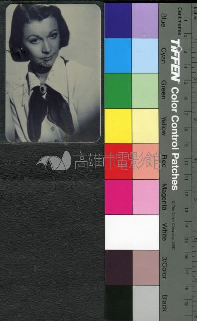 費雯麗藏品圖，第1張