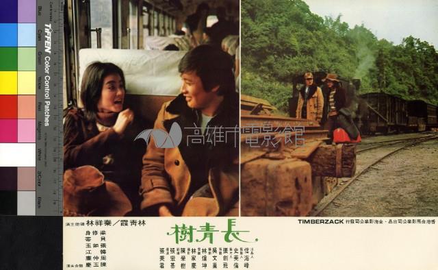 長青樹(彩色)藏品圖，第1張