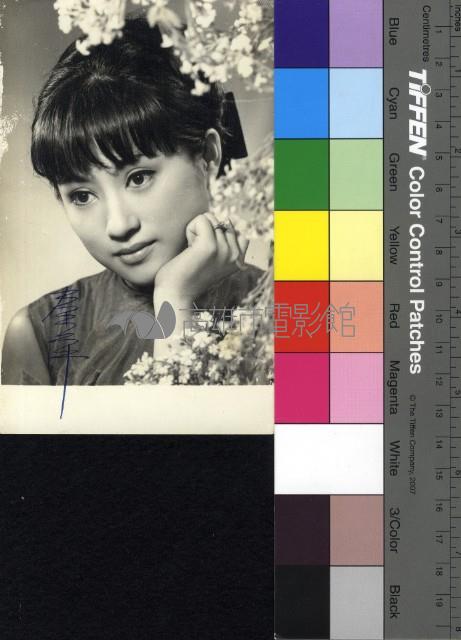 秦萍藏品圖，第1張