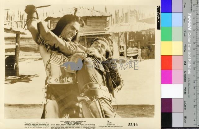 White Feather藏品圖，第1張