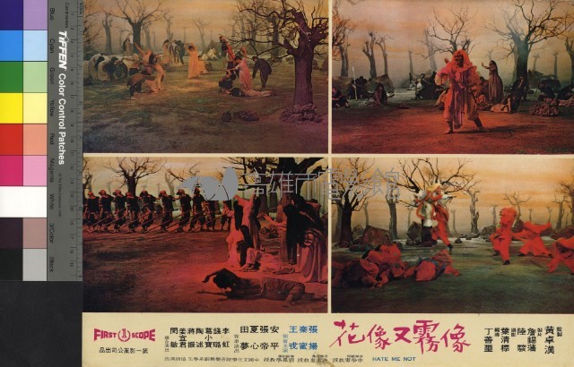 像霧又像花(彩色)藏品圖，第1張