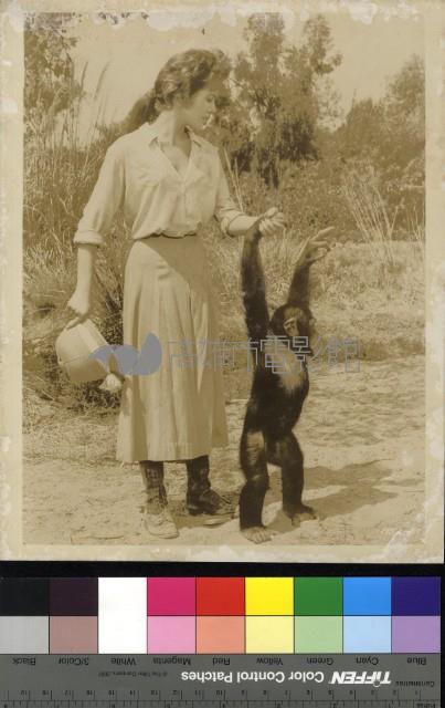 國外劇照藏品圖，第1張