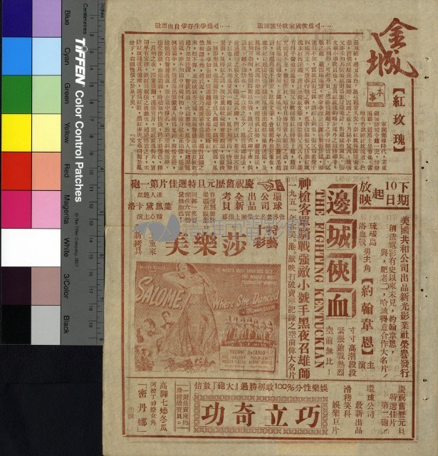 紅玫瑰藏品圖，第1張
