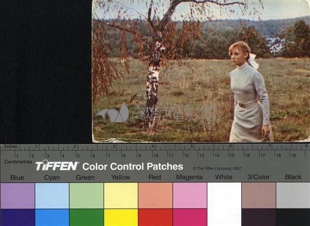 Чайка藏品圖，第1張