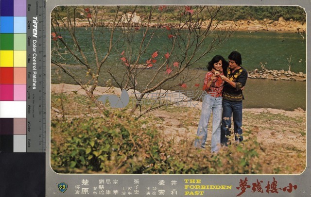 小樓殘夢(彩色)藏品圖，第1張